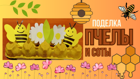 Пчёлы в сотах.